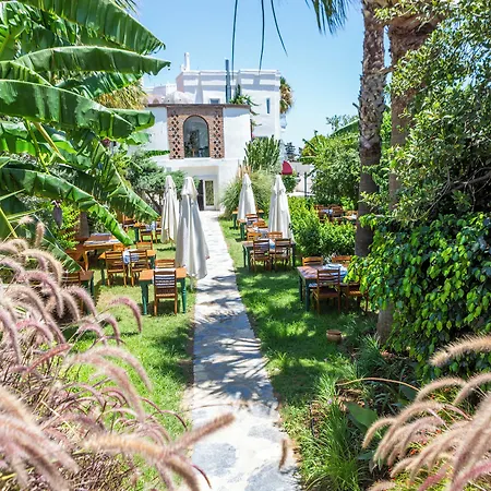 لا بريزا سويت