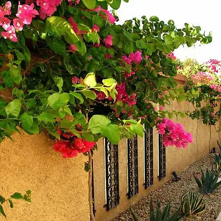 La Brezza Suite&hotel Hotel Akyarlar