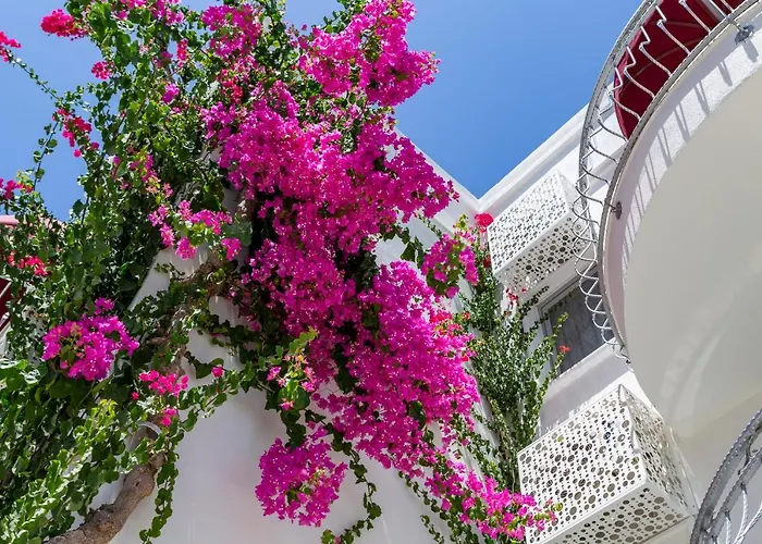 لا بريزا سويت 3*