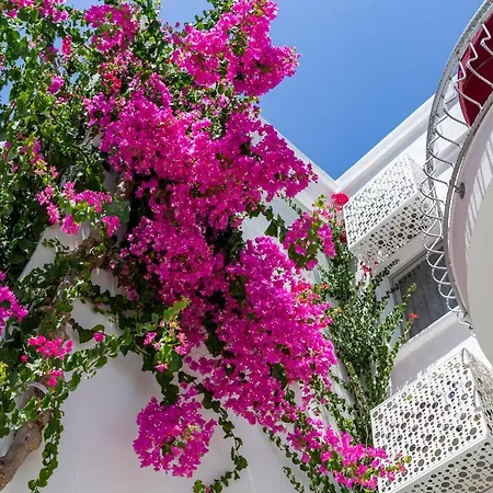 拉贝乐加套房酒店 3*