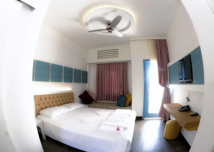 La Brezza & アキアーラ