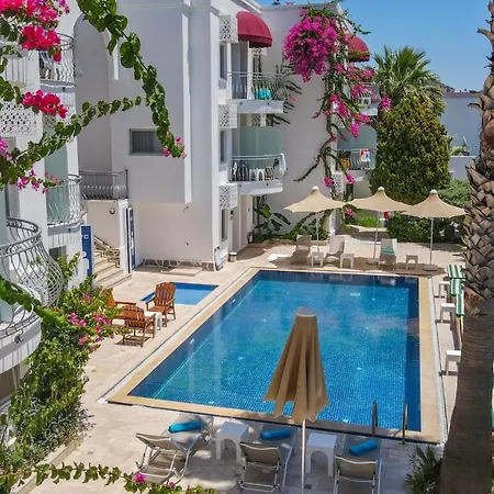 Hotel La Brezza & 3*
